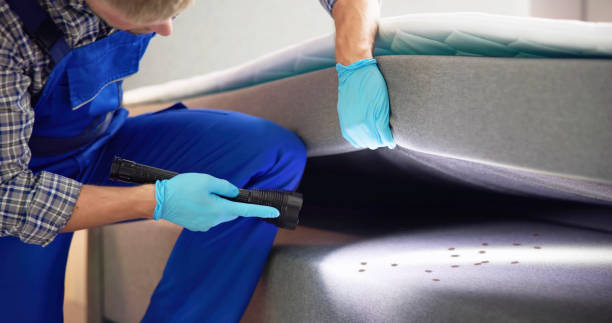 Best Pest Inspection Near Me  in Sells, AZ